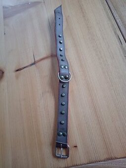 Obojek pro psa nevyužitý