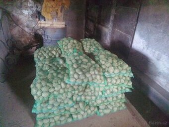 Prodám konzumní brambory