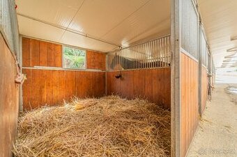 Ustájení koní – Telce u Peruce