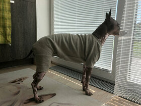 Khaki Mikina, bavlněný obleček na psa i fenu v.M - 1