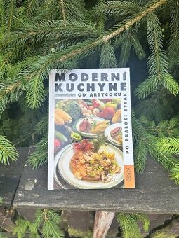 Moderní kuchyne