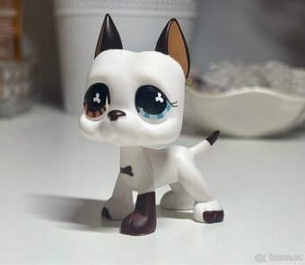 LPS bílý pes doga s každým okem jiným