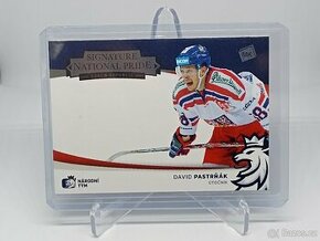 David Pastrňák 1REPREZENTACE