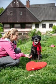 ANDULKA - 25 kg, kastrovaná fenečka 10 let