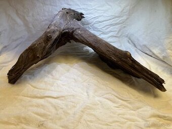 Kořen Amazonas root XL 40-60 cm - 1
