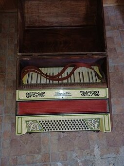 Akordeon, harmonika pianovka Rigoletto