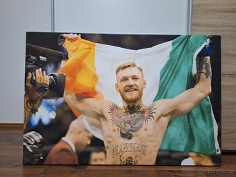 Nástěnný obraz Conor McGregor - 1