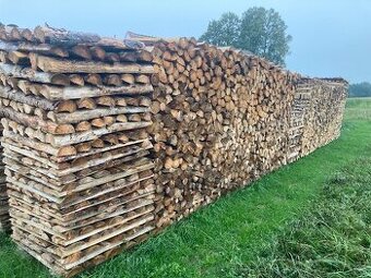 Prodám palivové dřevo
