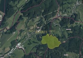 Aukce 2,04 ha lesních pozemků v k. ú. Neubuz