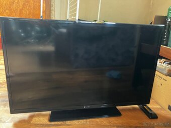 TV Gogen