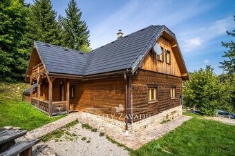 Prodej, chata- dřevěnice, 4 apartmány, Klokočov, ev.č. 00771