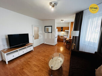 Pronájem zařízeného bytu 1 + kk, 38 m2, ul. Horní , , 133042