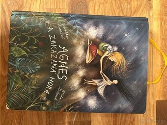 Kniha Agnes a zakázaná hora