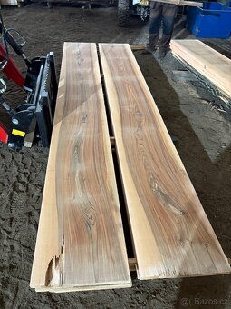 Jasanove rezivo -prkna 35mm