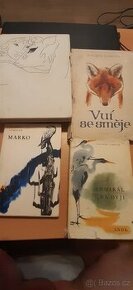 Vůi se směje, Admirál na Dyji, Marko