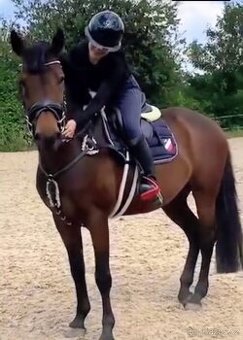 Moc hodný valach na prodej