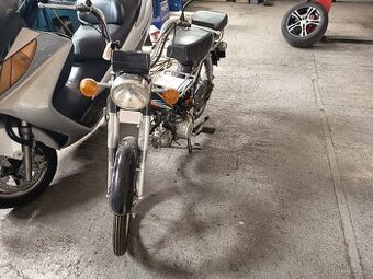 Kentoya 50 ccm - 1
