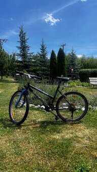 Horské kolo Rock Machine