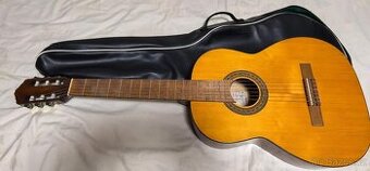 kytara s koženou taškou