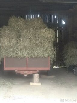 Prodám seno malé hranaté balíky