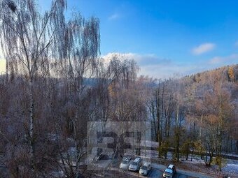 Pronájem bytu 3+kk 68 m², Cheb, ev.č. N08595