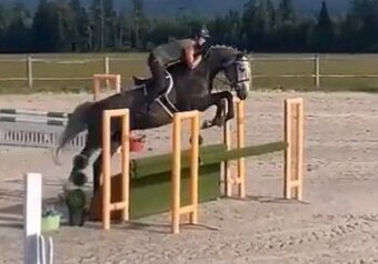 obsadanie, jazdenie a príprava parkurových koní