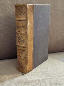 Mezi dvěma břehy (K. J. Beneš)