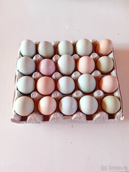 Vajíčka z domácího chovu