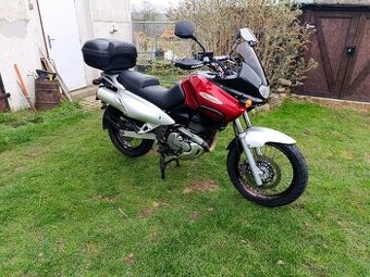 Suzuki XF 650 Freewind