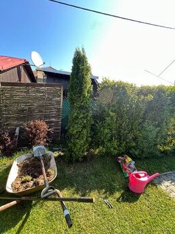 Rizikové Káceni Kompletní Peče o Zahrady