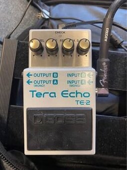 Boss Tera Echo TE-2
