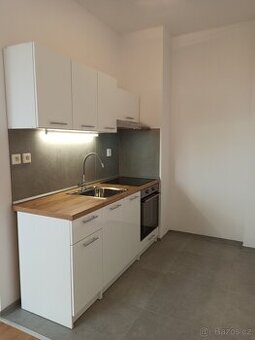 Pronájem útulného bytu 1+kk, 32,8 m² - 1