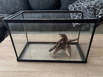 Akvarium