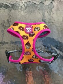 Kšíry pro štěně