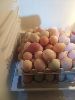 Prodám domácí slepičí vajíčka