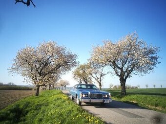Mercury Grand Marquis 7,5l V8