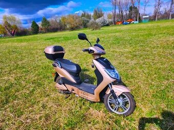 🛵Prodám Elektroskútr RACCEWAY® E-FICHTL® – světle zlatý mat