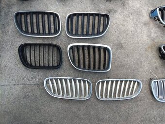 Ledvinky BMW