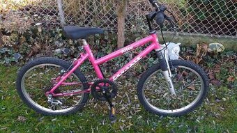 Dívčí kolo Favorit Alice 20" můžu POSLAT s rámem pro děti o - 1