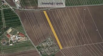 Prodej pole v k.ú. Telnice u Brna