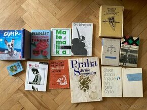 Knihy - Praha J. Švegsbíra, M - Planimetrie atd.
