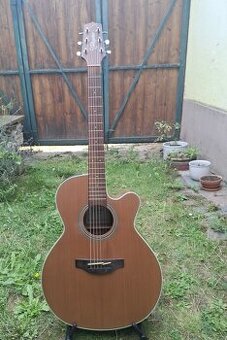 Takamine GN20CE-NS