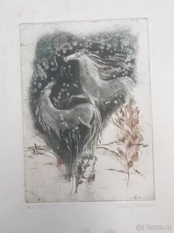 Prodám grafiku Lázníčková-Velebová hezký dárek