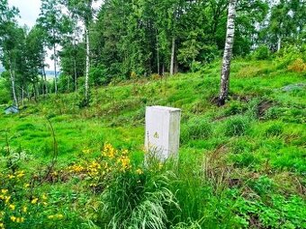 Zahrada zahrádka 723m2