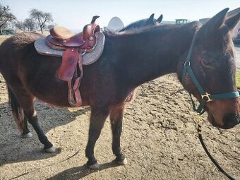 Westernové pony sedlo