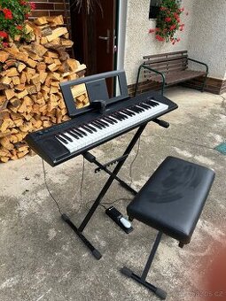 Yamaha Piaggero piano