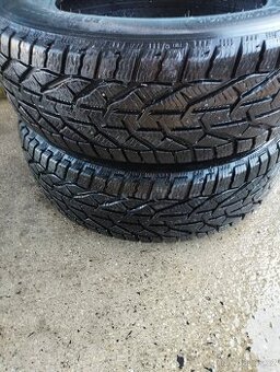 Zimní pneu 195/65 R15:Dot-3322: Kormorán