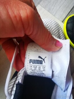 Turfy Puma 37