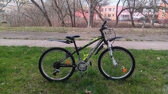 Dětské kolo Leader Fox Spider 24