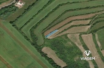 Pole 1 395 m²